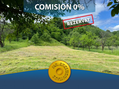 Teren Intravilan - Negresti, Arges - Comision 0%!