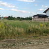 Teren intravilan 450 mp Loc.Bradu-Arges 0 % Comision thumb 2