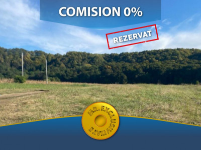 Teren pretabil investitie Budeasa 4880 mp - comision 0%