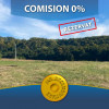 Teren pretabil investitie Budeasa 4880 mp - comision 0% thumb 1