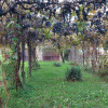 Casa Calinesti - langa Primarie thumb 4