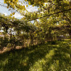 Casa P+1 Calinesti+2271 mp teren thumb 9