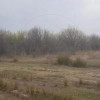 Comision 0% - Teren Hintesti Punct Plantatie Pruni  thumb 1
