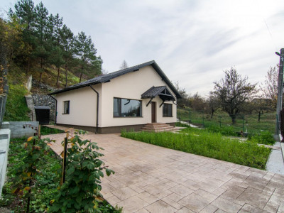 Casa la munte in C-lung Muscel-jud. Arges - 160 km Bucuresti 0% Comision 