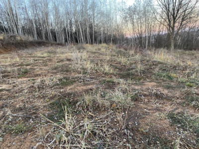 Teren intravilan 16 euro mp Zona Smeura -Arges 0% Comision