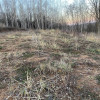 Teren intravilan 16 euro mp Zona Smeura -Arges 0% Comision thumb 1