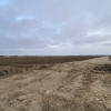 Teren 4000 mp/8 parcele  com. Albota, jud.Arges. Comision 0% thumb 7