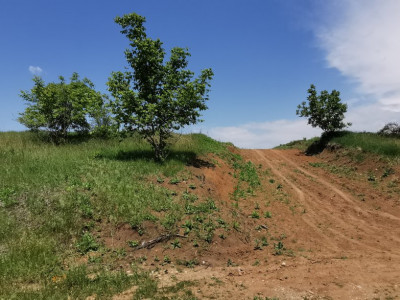 Teren Intravilan 600 mp, lângă lac, în Balotești