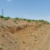 Teren Intravilan 600 mp, lângă lac, în Balotești thumb 9