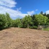  Cladire 1456 mp+teren 2000mp Pitesti, Jud. Arges! Oportunitate de investitie! thumb 5