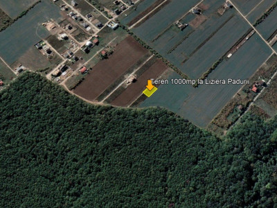 Teren Intravilan langa padure, in Balotesti, langa Edenland