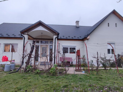 De Vânzare Casă 3 camere cu teren 1300 mp Lucăceni SM - Comision 0% cumpărător