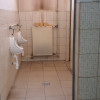 De Vânzare / Inchiriere Hală Industrială cu teren Carei - Comision 0% cumpărător thumb 18