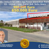 De Vânzare / Inchiriere Hală Industrială cu teren Carei - Comision 0% cumpărător thumb 1