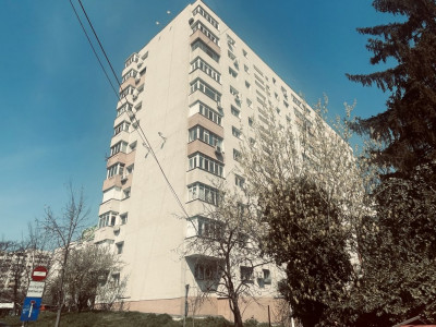 2 camere decomandat, spatios, vedere spate