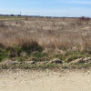 Teren 10.000 mp intravilan BRADU - Scoartei, Jud.Arges thumb 2