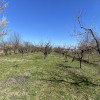 Comision 0%  Teren 1431 mp intravilan Loc. Maracineni, Jud. Arges.  thumb 3
