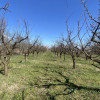 Comision 0%  Teren 1431 mp intravilan Loc. Maracineni, Jud. Arges.  thumb 6