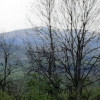 TEREN IN ZONA MONTANA thumb 6