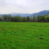 TEREN IN ZONA MONTANA thumb 1