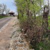 TEREN IN ZONA MONTANA thumb 12