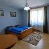 De Vânzare Vilă 8 camere și Casă de vacanță 3 camere - Str. Florilor - Carei  thumb 12