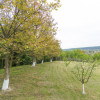 Case de vanzare in Cosesti, la 12km de Mioveni. Comision 0% thumb 37