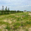 0% Comision. Teren intravilan 550 mp loc. Bradu, jud.Argeș. thumb 1