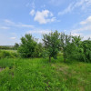 Teren Viile Satu Mare thumb 2
