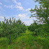 Teren Viile Satu Mare thumb 3