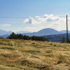 Teren intravilan 11000 mp, cu utilitati, in Bran - Oportunitate Investitie!  thumb 3