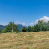 Teren intravilan 11000 mp, cu utilitati, in Bran - Oportunitate Investitie!  thumb 4