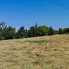 Teren intravilan 11000 mp, cu utilitati, in Bran - Oportunitate Investitie!  thumb 7