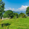 Teren intravilan 11000 mp, cu utilitati, in Bran - Oportunitate Investitie!  thumb 12