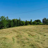 Teren intravilan 11000 mp, cu utilitati, in Bran - Oportunitate Investitie!  thumb 13