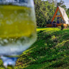 Afacere la cheie - 4 Cabane de lemn intr-o locatie de vis! thumb 23