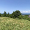 Teren 5478 mp zona de deal Valea Mare Pravat, langa C-LUNG MUSCEL. Comision 0% thumb 5