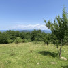 Teren 5478 mp zona de deal Valea Mare Pravat, langa C-LUNG MUSCEL. Comision 0% thumb 7