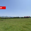 Teren 5478 mp zona de deal Valea Mare Pravat, langa C-LUNG MUSCEL. Comision 0% thumb 2