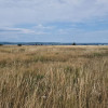Parcele teren - Geamana Bradu thumb 2