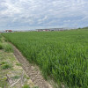 Teren 20000mp intravilan Albota, zona Papilon Comision 0% thumb 1