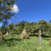 Comision 0%  Casa+teren 1800mp loc. Zigoneni-la 7 km de Curtea de Arges thumb 15