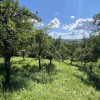 Comision 0%  Casa+teren 1800mp loc. Zigoneni-la 7 km de Curtea de Arges thumb 16