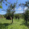 Comision 0%  Casa+teren 1800mp loc. Zigoneni-la 7 km de Curtea de Arges thumb 17