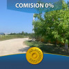 0% Comision-Teren 10614 mp Albota Mares thumb 1