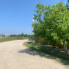 Teren 10614 mp Albota Mares  thumb 1
