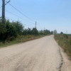 Teren 10614 mp Albota Mares  thumb 3