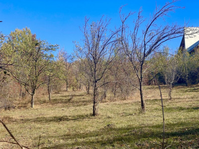 Teren Intravilan 2895 mp, Cornu de Jos