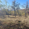 Teren Intravilan 2895 mp, Cornu de Jos thumb 2