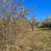 Teren Intravilan 2895 mp, Cornu de Jos thumb 4